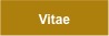 vitae button